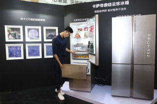 卡萨帝全球首创红外恒温冰箱亮相微观艺术展 图
